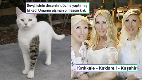 Skolyozu Olan Balinaya Yüzme Tavsiye Edenden Salçasız Pasaporta Son 24 Saatin Viral Tweetleri