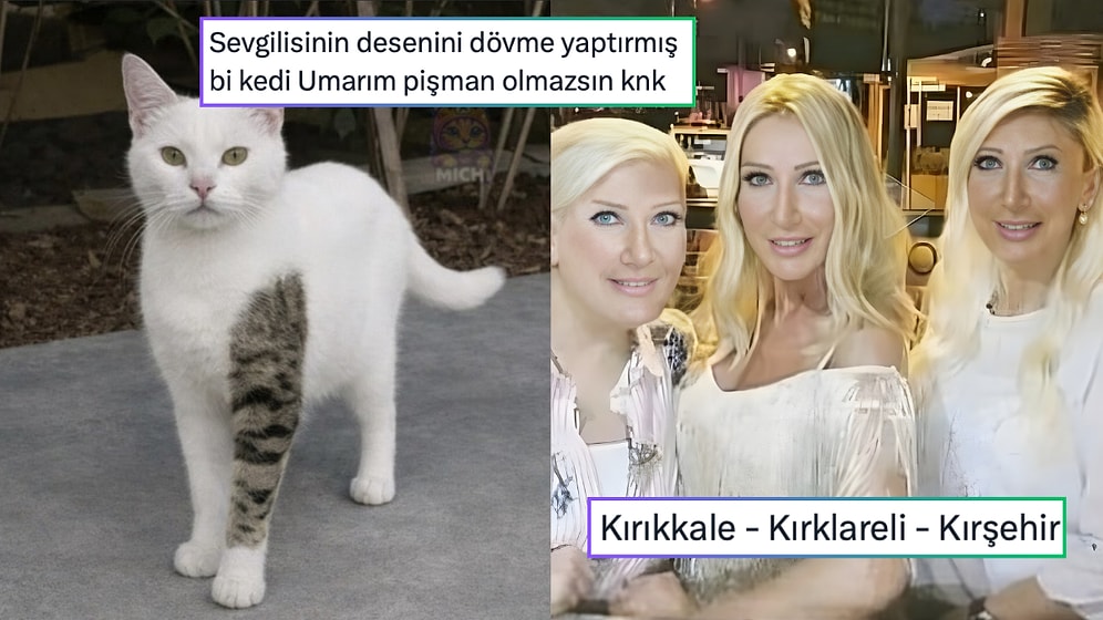 Skolyozu Olan Balinaya Yüzme Tavsiye Edenden Salçasız Pasaporta Son 24 Saatin Viral Tweetleri