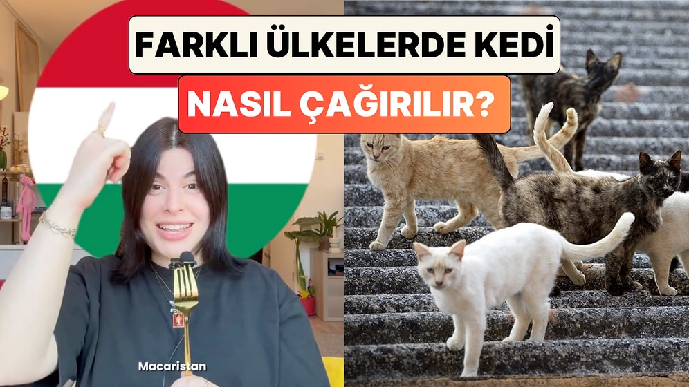 İçerik Üreticisi Gizem Bilig Anlattı: Farklı Ülkelerde Kedi Nasıl Çağırılır?
