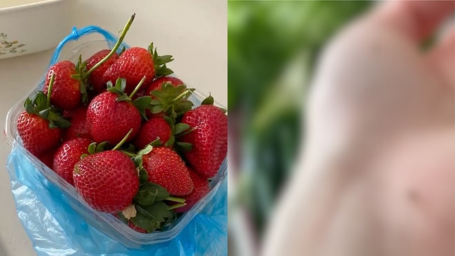 Woman Put Market-Bought Strawberries In Vinegar Water And Couldn't Believe What Was Hidden Inside The Fruit