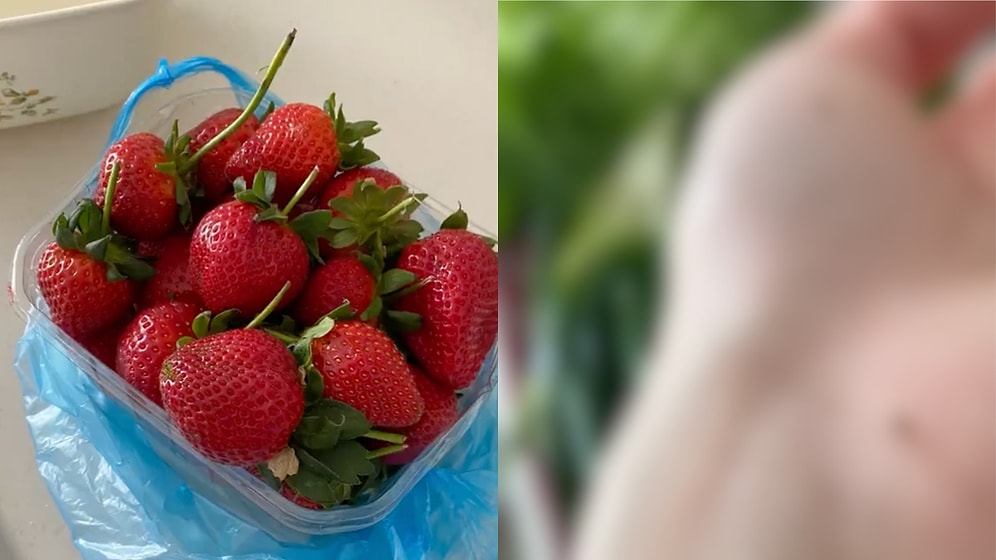 Woman Put Market-Bought Strawberries In Vinegar Water And Couldn't Believe What Was Hidden Inside The Fruit