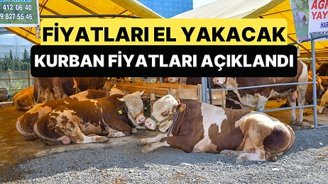 Kurban Bayramına Hazırlıklar Başladı: Kurban Fiyatları Belli Oldu