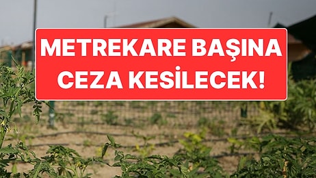 Tarım Arazilerindeki İzinsiz Hobi Bahçelerine Metrekare Başına Ceza Kesilecek
