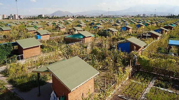 Tarla statüsündeki arsalara izinsiz olarak yapılan hobi bahçelerine ağır yaptırımlar geliyor.