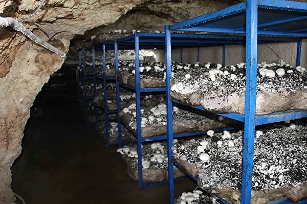 Aile işletmesinden uluslararası pazara yolculuk devam ediyor.