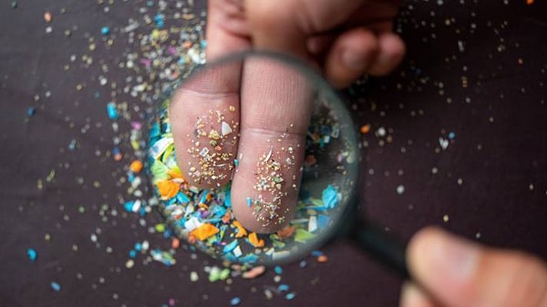 Microplastics, now pervasive in every aspect of our lives, carry chemicals that are extremely harmful to human health.