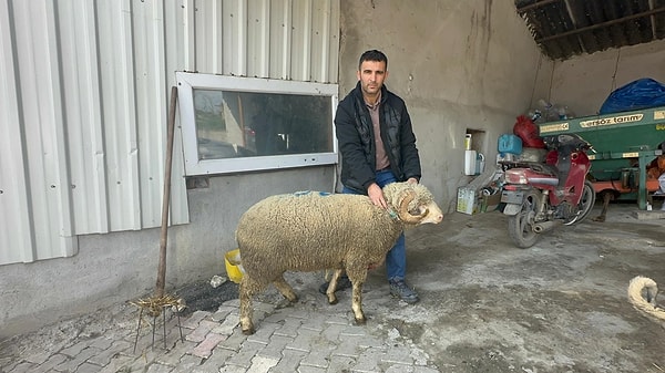 Peki bu kadar ilgiyi çeken ne?