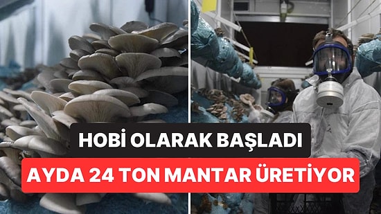 Hobi Olarak Başladı, Şimdi Günlük 1 Ton Mantar Üretiyor: "Mantar Köyü" Projesi Yolda!