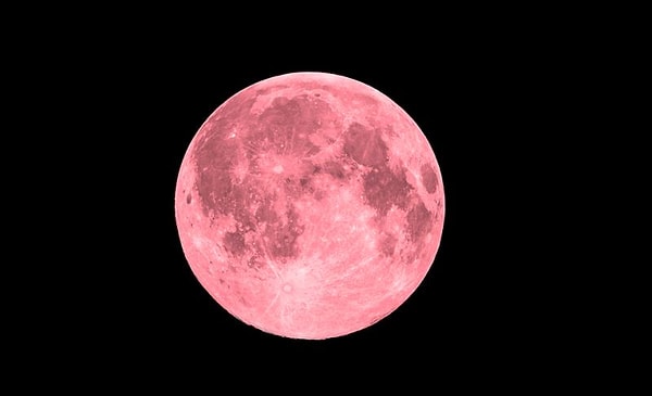 Nisan ayının gelmesiyle her yıl olduğu gibi bu yıl da 'Pembe dolunay' için heyecan dorukta.