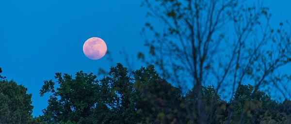 Pembe Dolunay Nedir ve Neden Bu İsimle Anılmaktadır?