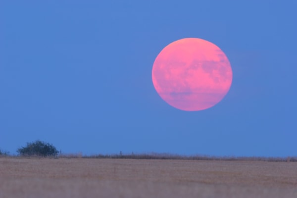 "Pembe Ay" Gerçekten Pembe Renk mi Olacak?