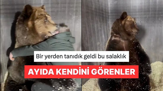 Ölçü Alan Veterinerin Sarıldığını Zanneden Ayıyla Empati Kuran Kişiler