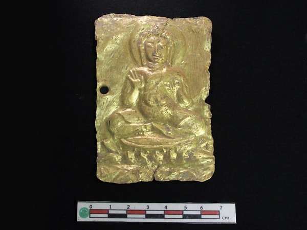 Koruma ve konservasyon süreci başlatıldı