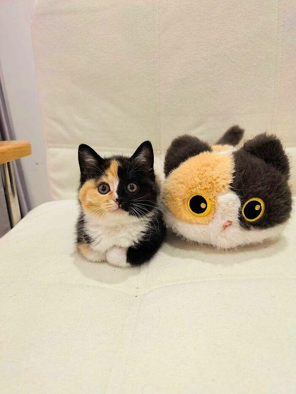 3. Yürekleri eriten bir kare! 😍