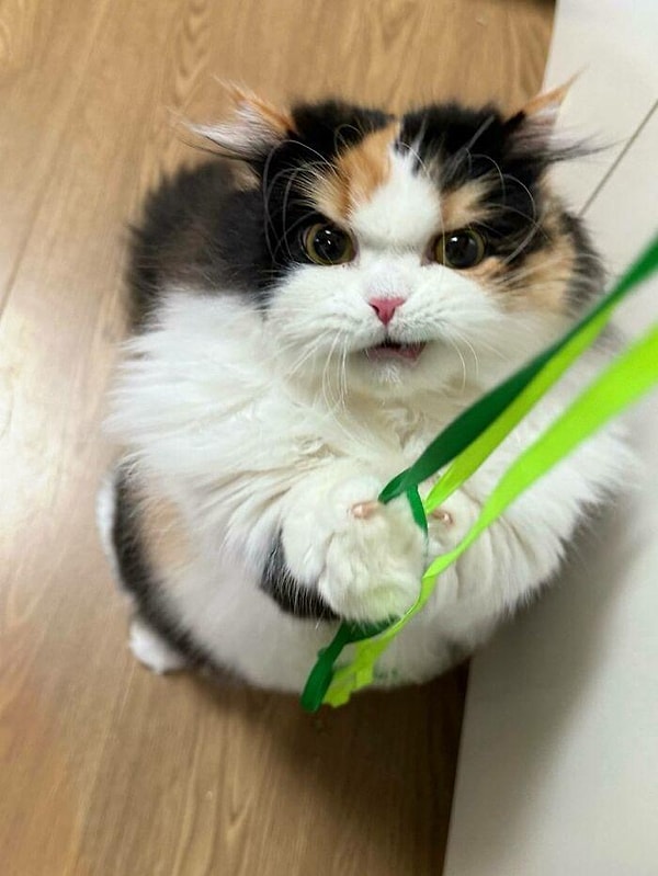 4. Neye bu kadar kızmış olabilirsin?