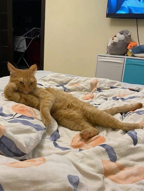 6. Ee, buralara çok sık gelir misin anlatsana biraz?