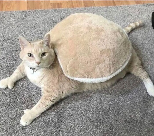 9. Tam kafayı koyup sabaha kadar uyumalık... Yastıktan bahsediyoruz tabii ki.