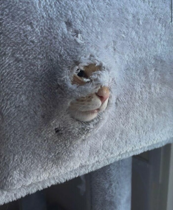 10. Burayı nasıl böyle yüz ölçünde açmış olabilirsin ya? Araştırılsın.