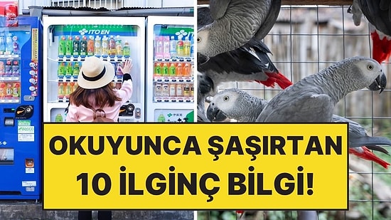 İlginç Ama Gerçek Olduğuna İnanmakta Zorlanacağınız 10 Bilgi