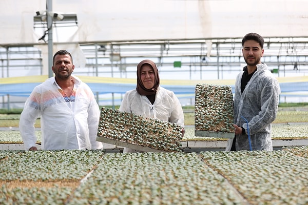 Zamanla üretimini genişleten Kaçar, kiraladığı alanlarla birlikte 17 dönüm kapalı alanda üretim yapmaya başladı.