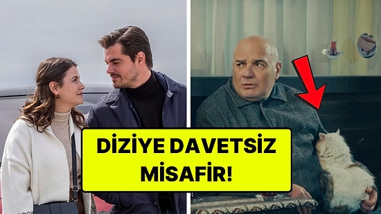 Gönül Dağı'nın Hüseyin'i Sahnede Yer Alan Kedinin Hikayesini Anlattı