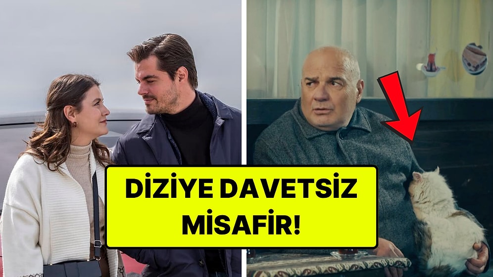 Gönül Dağı'nın Hüseyin'i Sahnede Yer Alan Kedinin Hikayesini Anlattı