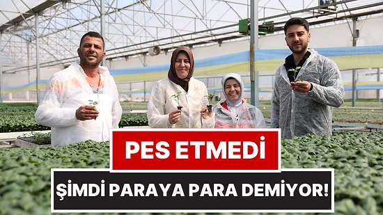 Bileziklerini Satıp Sera Kurdu, Şimdi Yılda 40 Milyon Fide Üretiyor!