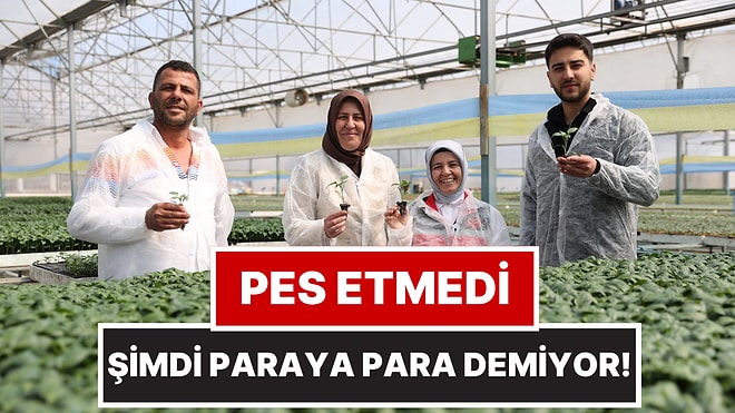 Bileziklerini Satıp Sera Kurdu, Şimdi Yılda 40 Milyon Fide Üretiyor!