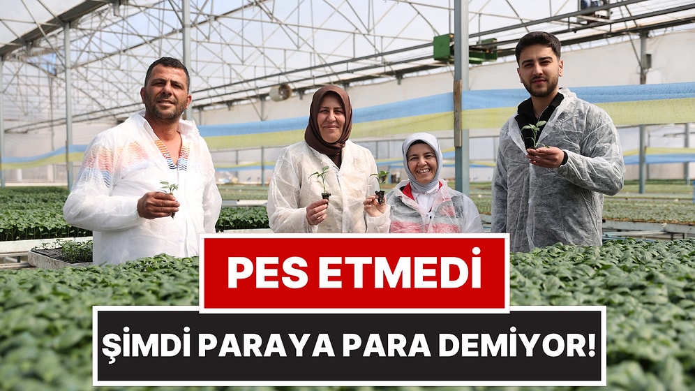 Bileziklerini Satıp Sera Kurdu, Şimdi Yılda 40 Milyon Fide Üretiyor!