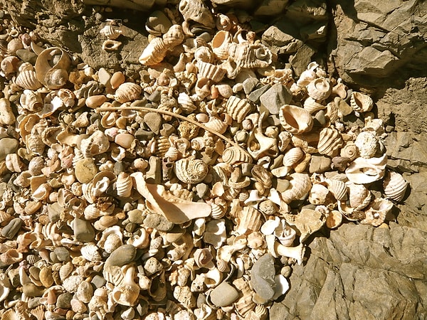 Lapita Sonrası Döneme Ait Yerleşim İzleri Keşfedildi