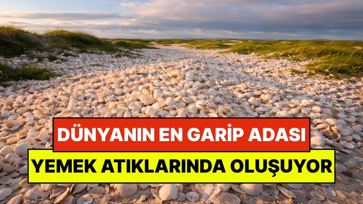 Dünyanın En Garip Adası: Yemek Atıklarından Oluşmuş 3 Bin Metrekarelik Ada Keşfedildi