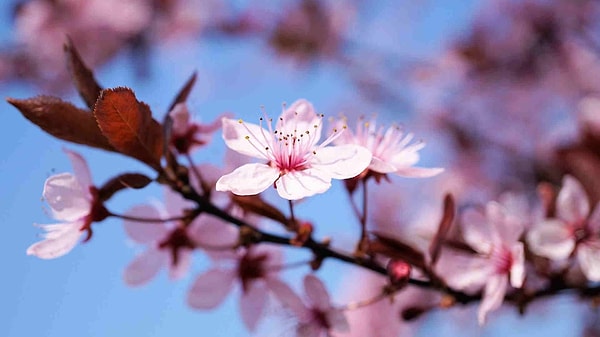 Türkiye’de milyonlarca vatandaşın merakla beklediği tatil düzenlemesine ilişkin önemli bir gelişme yaşandı.