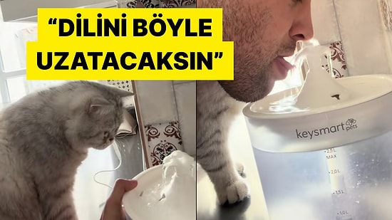 Kedisine Su İçmeyi Uygulamalı Olarak Öğreten Adam Viral Oldu