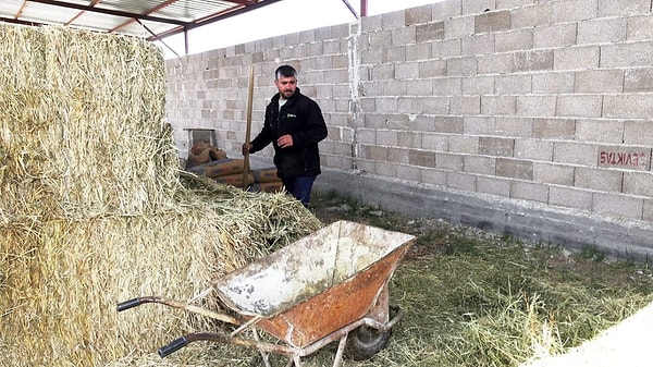 Çoban bulunamaması üretim zincirini tehlikeye sokuyor.
