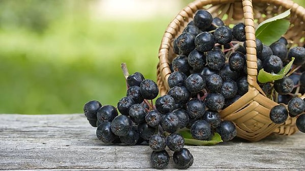Son yıllarda beslenme dünyasında adından sıkça söz ettiren aronya meyvesi, içerdiği güçlü antioksidanlar sayesinde vücutta adeta koruyucu bir kalkan görevi görüyor.