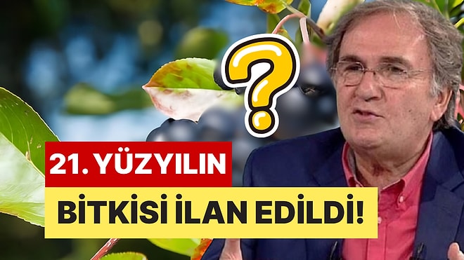 İbrahim Saraçoğlu'ndan Tam Not Aldı: Her Gün İçenlerin Kalbi Güçleniyor