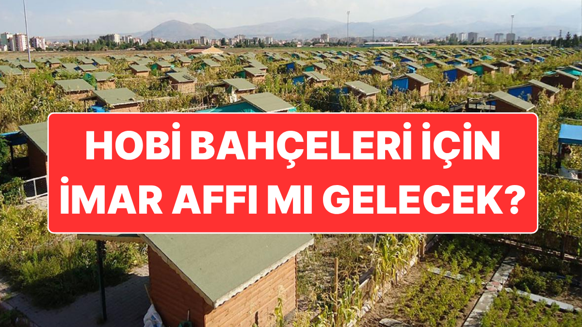 Hobi Bahçeleri İçin İmar Affı mı Gelecek? Gazeteci Şamil Tayyar’dan Dikkat Çeken Paylaşım