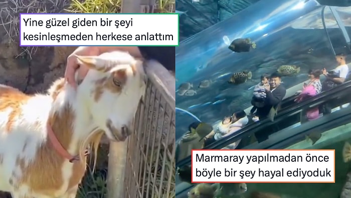 Zeki Müren’in Lady Gaga’yı Kıskandıran Ayakkabısından Hayallerimizdeki Marmaray'a 24 Saatin Viral Tweetleri