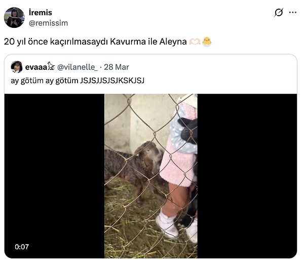 8. Hep seni düşünüyoruz Eleni...