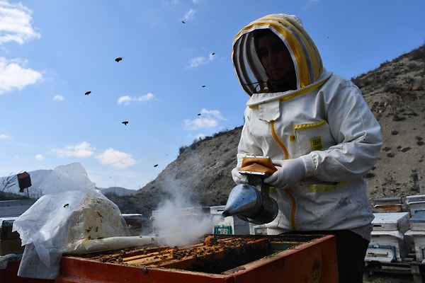 Bugün 33 yaşında olan ve üç çocuk annesi olan Ürgün, yaklaşık 10 yıl önce Bilecik’in Yenipazar ilçesinde yaşarken arıcılıkla tanıştı.