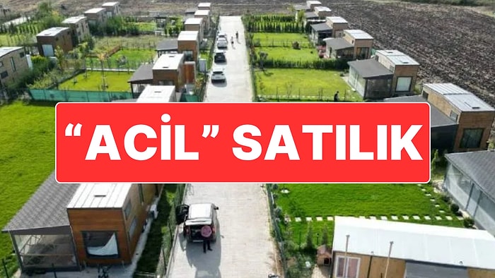 Binlerce Hobi Bahçesinin "Acil" Koduyla Satışa Çıkarıldığı İddia Edildi