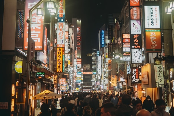 1995 sonrası dönemde uygulanan bu sıkı kontroller, zamanla teknolojinin gelişmesi ve göç politikalarının güncellenmesiyle birlikte etkisini kaybetti.