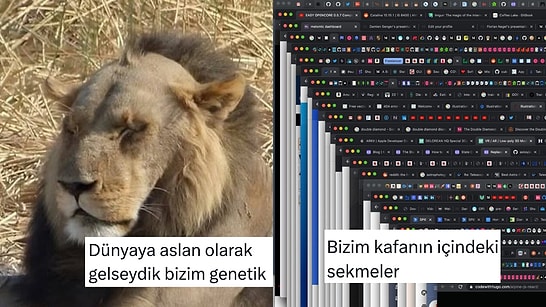 Genetik Mirasın Öneminden Kafadaki Sekmelere Son 24 Saatin Viral Tweetleri