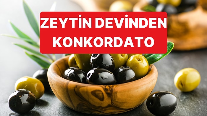 Türkiye'nin En Ünlü Zeytin Markalarından Biri Konkordato Kararı Aldı