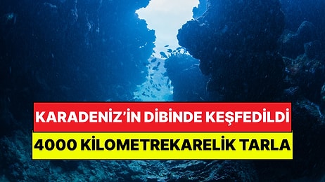 Karadeniz’in Dibinde Dev Bir Tarla Keşfedildi: Uzaydan Görülebilen Biyolojik Mucize