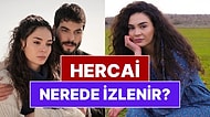 Hercai Nerede İzlenir? Netflix, Amazon ve Diğer Platformlar