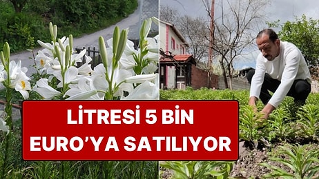 Babasından Kalan Mirasa Gözü Gibi Bakıyor: Litresi 5 Bin Euro'ya Satılıyor