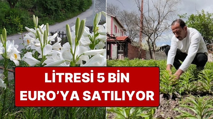 Babasından Kalan Mirasa Gözü Gibi Bakıyor: Litresi 5 Bin Euro'ya Satılıyor