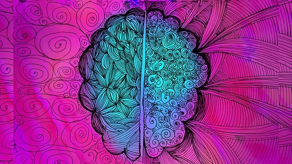 Bilim insanları, beynin korku merkezini ses dalgalarıyla geçici olarak baskıladı