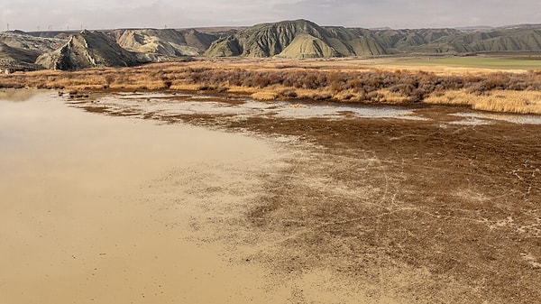 Bozkıra Dönüşen Coğrafya ve Köppen-Geiger Sınıflandırmasına Dikkat Çekiliyor